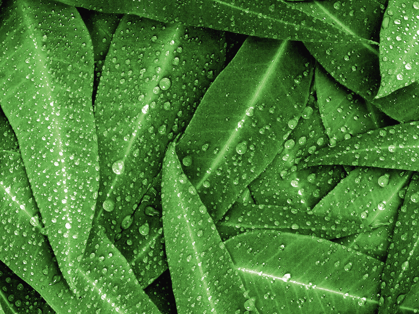 Baby / Kinder Matratzenschutz