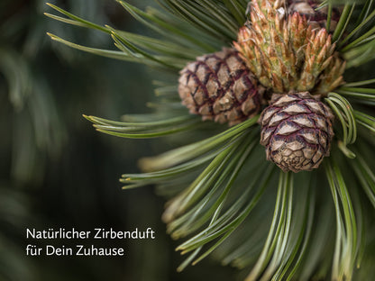 Zirben Kugel Set mit Edelsteinstab ~ Blume des Lebens