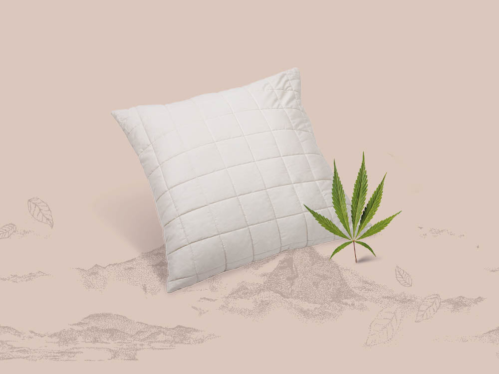 Bio Kissen Hanf