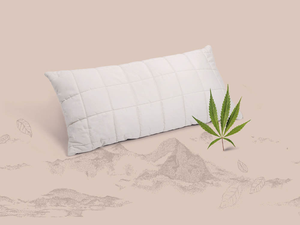 Bio Kissen Hanf